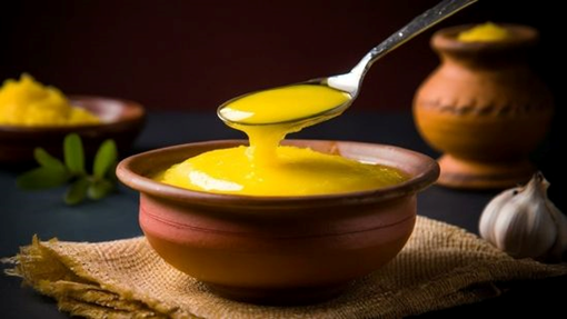 A2 cow ghee is a form of clarified butter prepared exclusively from the milk of desi (indigenous) cows that produce the A2 protein variant. Indigenous breeds like Gir cows—widely found in Gujarat—naturally yield milk rich in A2 beta-casein, which research connects to improved digestion and reduced inflammation. Using the bilona method, the milk is cultured into curd, hand-churned, and slowly heated to retain maximum nutrition and authentic flavor.